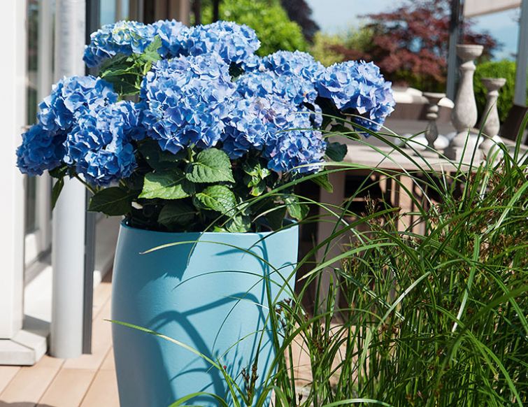 Frühlingsputz auf dem Balkon und der Terrasse