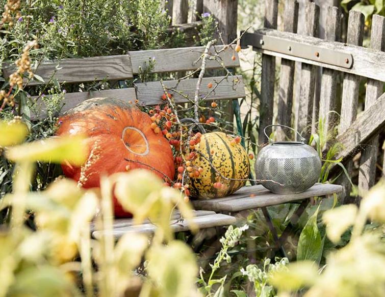 Herbstpflege im Garten