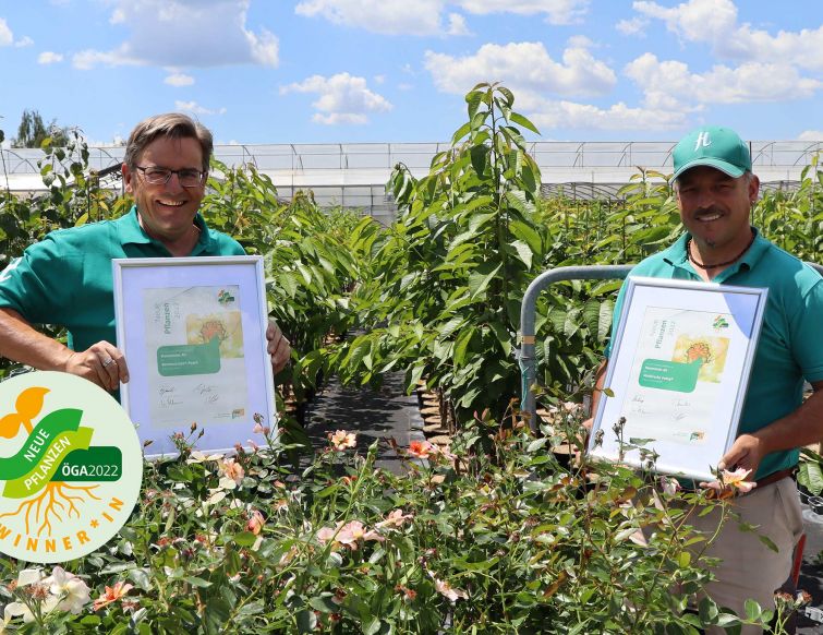 Rose 'Jojo® Peach' und Süsskirsche 'Swing®' mit Award ausgezeichnet