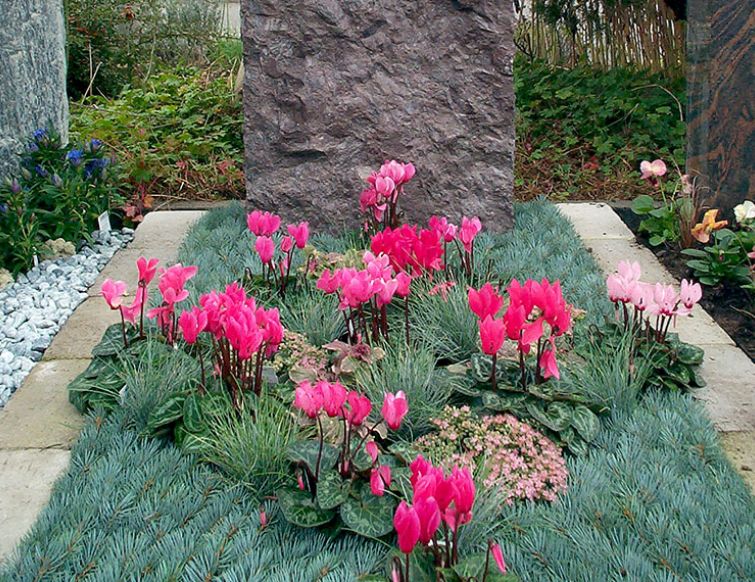 Grabbepflanzung