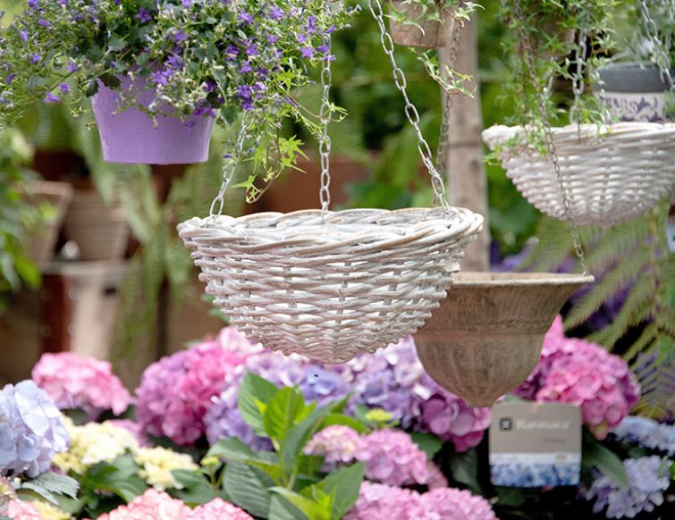 Bepflanzung von Hanging Baskets
