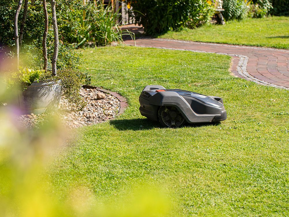 Rasenjahrespflege mit dem Rasenroboter