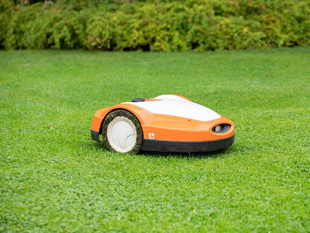 Rasenjahrespflege mit dem Rasenroboter