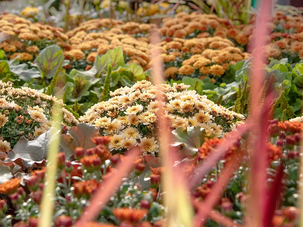 Herbstzauber