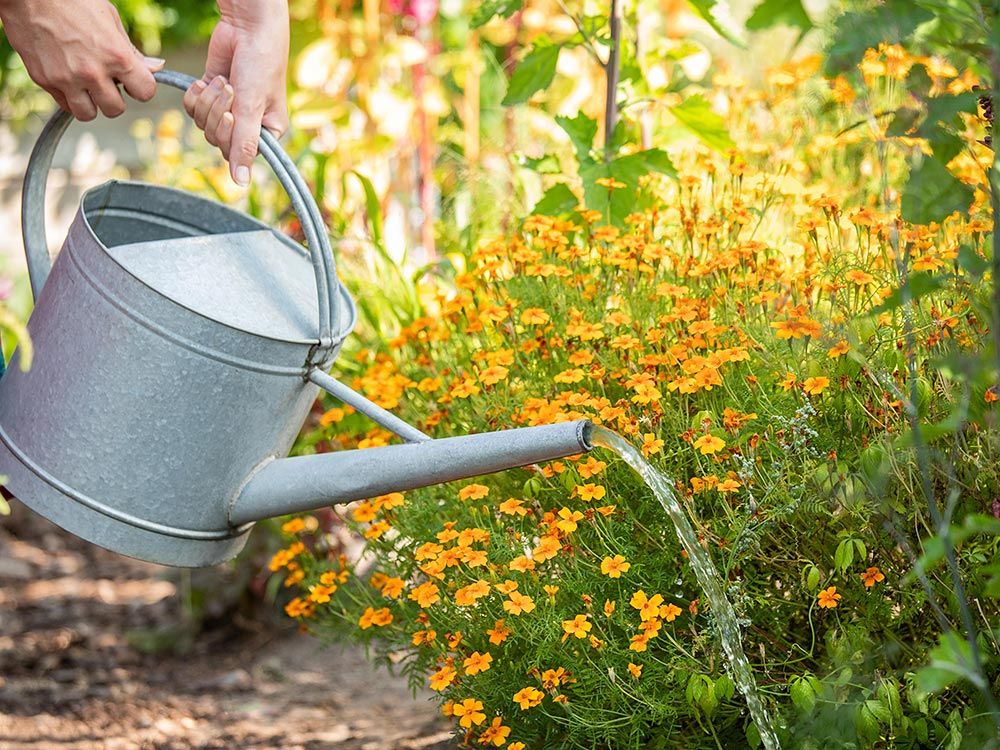 Workshop Basiskurs / Fit für die Gartensaison