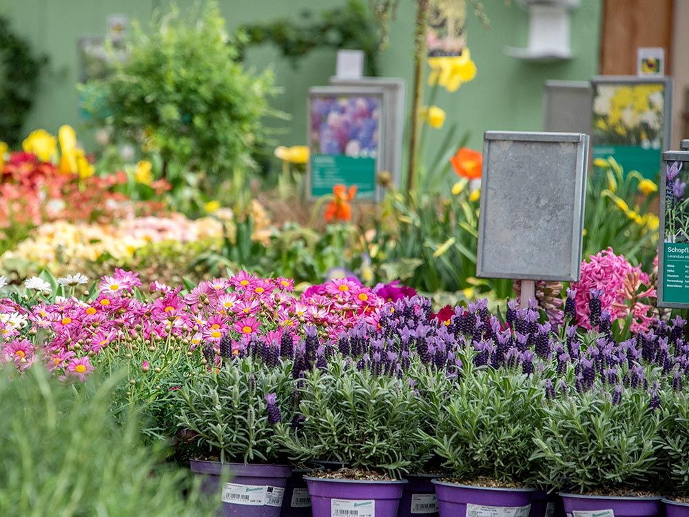 Gartencenter 1.Mai geöffnet