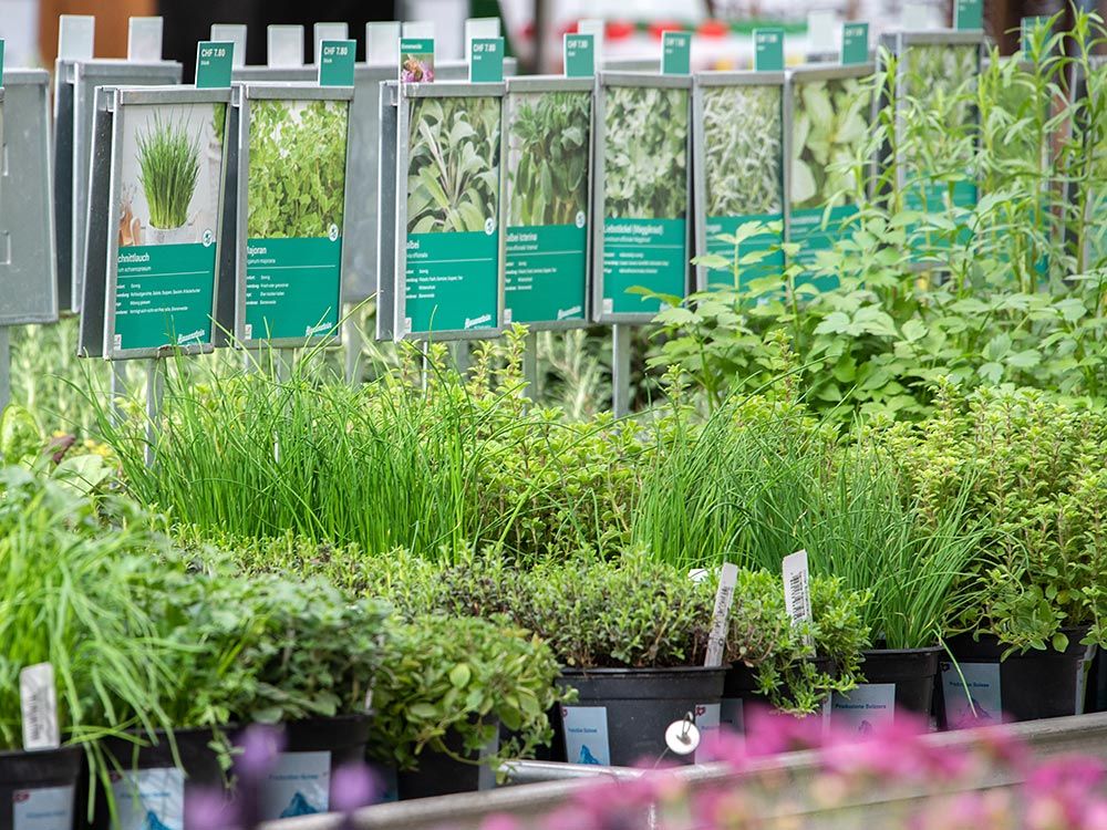 Gartencenter 1.Mai geöffnet