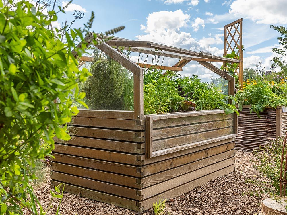 Genussgarten; Gemüse, Kräuter vom Feinsten