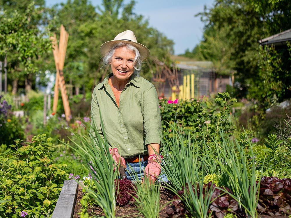 Genussgarten; Gemüse, Kräuter vom Feinsten