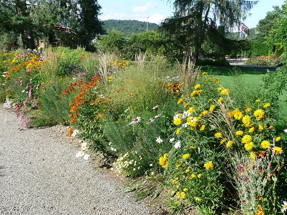 Führung durch den Schaugarten