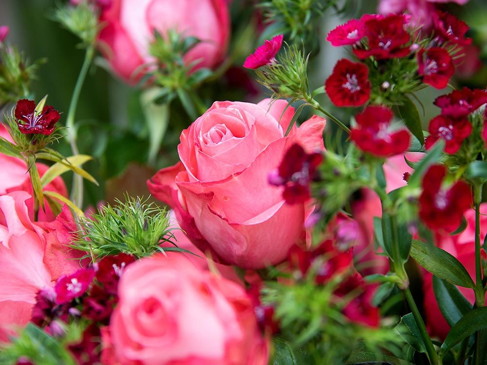 Bunter Frühlingsstrauss