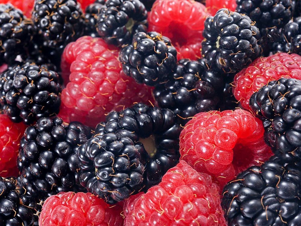 Eintauchen in den Geschmack von Obst und Beeren