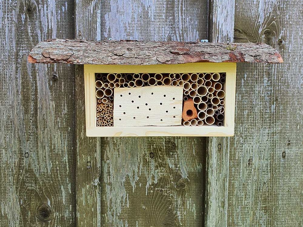 Wildbienen-Nisthilfe selber gestalten