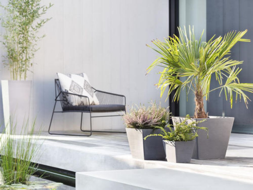 Produktdemo EcoPots; nachhaltige Pflanzgefässe