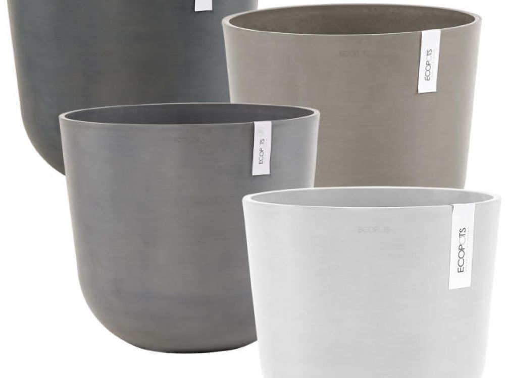 Produktdemo EcoPots; nachhaltige Pflanzgefässe