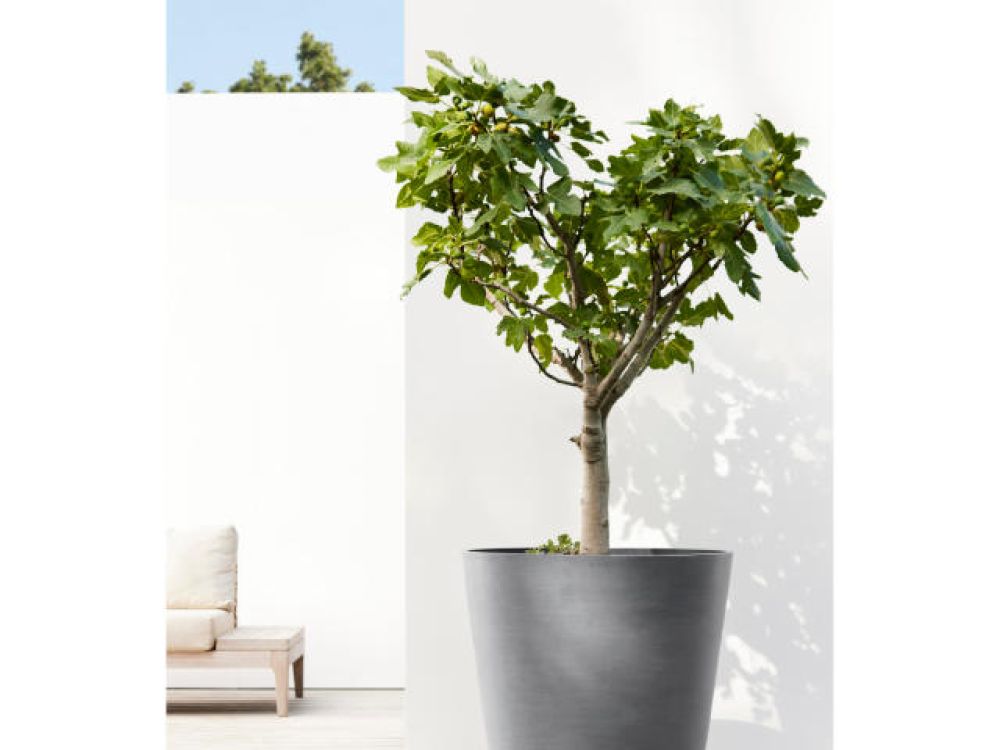 Produktdemo Ecopots; nachhaltige Pflanzgefässe