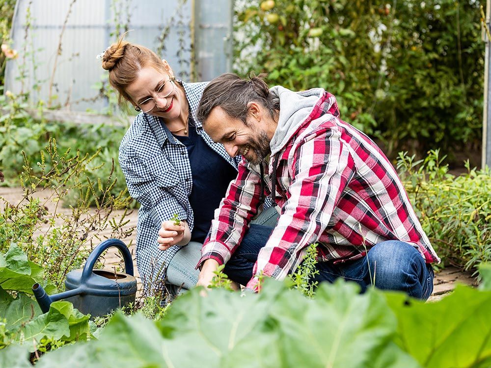 Workshop Basiskurs / Fit für die Gartensaison