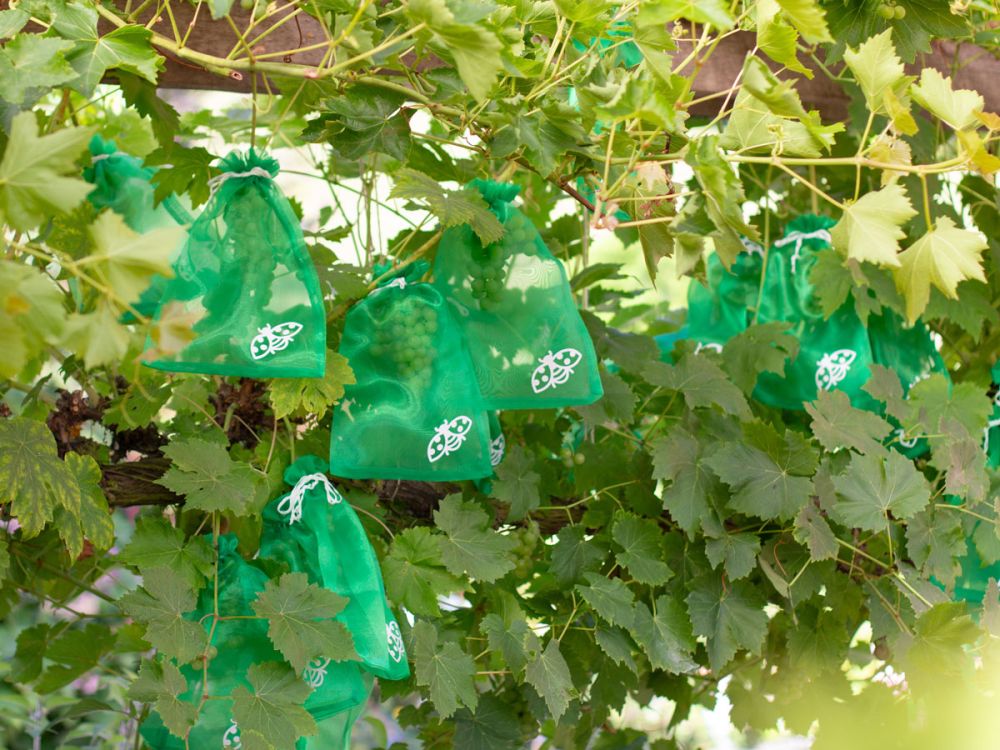 Biologisch gärtnern