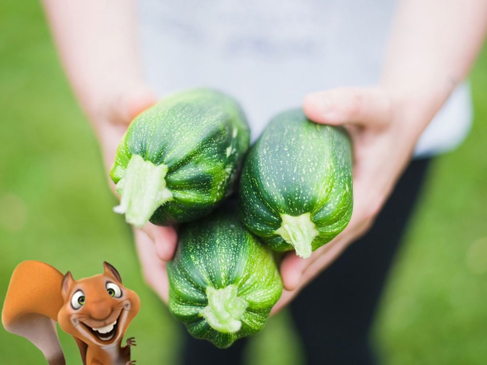 Kinderkurs: Herbsternte Eddie-Kurse speziell für Kinder von 6 bis 10 Jahren