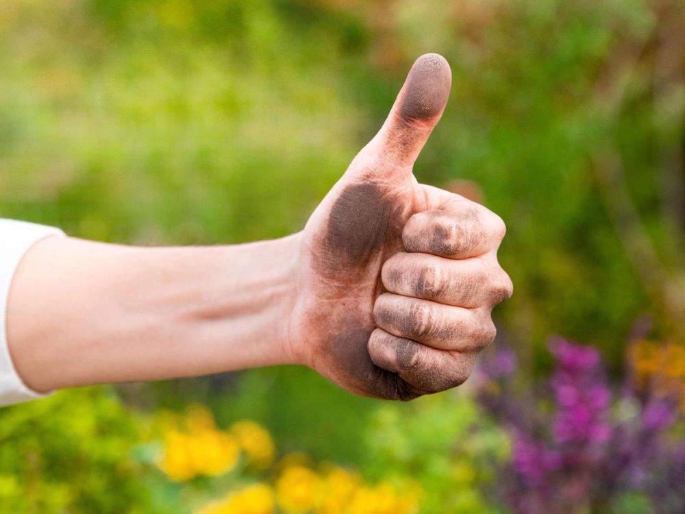 Workshop Basiskurs / Fit für die Gartensaison