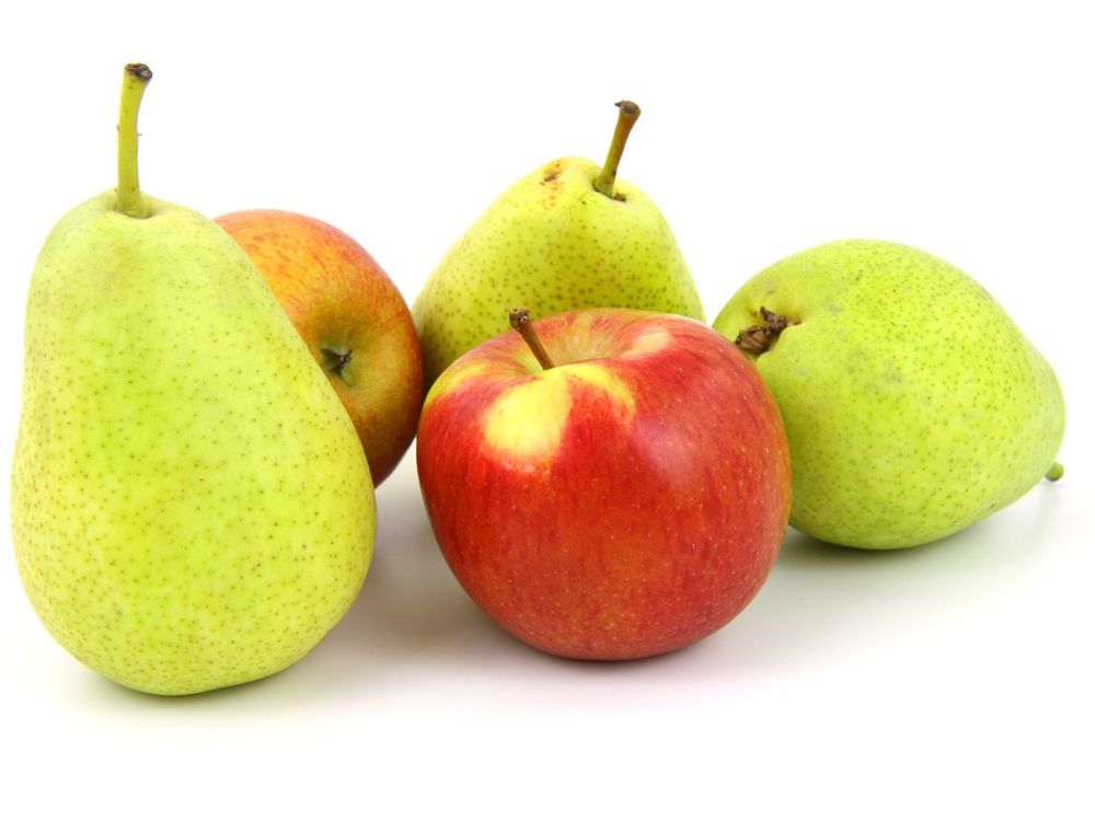 Obstsorten-Tasting