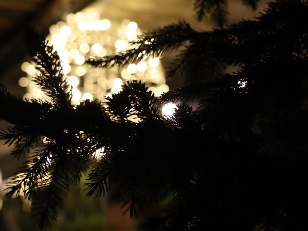 Advents-Markt im Gartencenter Winterthur