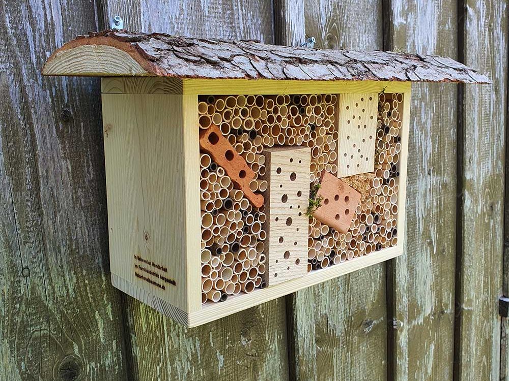 Wildbienen und Nisthilfen
