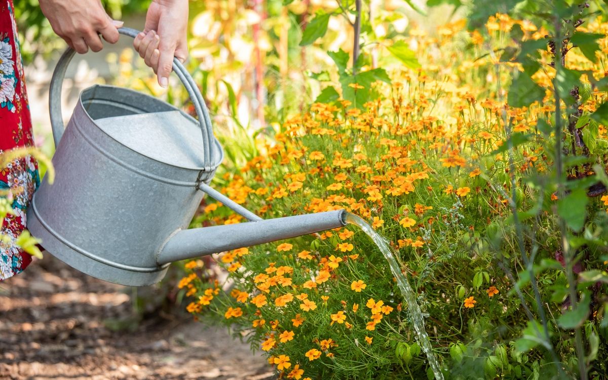 Workshop Basiskurs / Fit für die Gartensaison