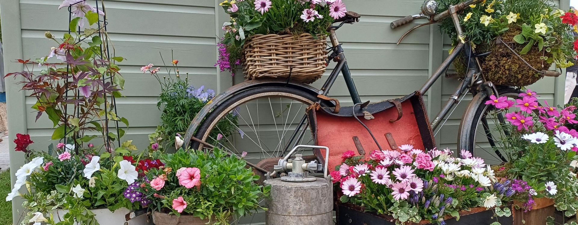 Pflanzgefässe: Töpfe, Kübel und Körbe