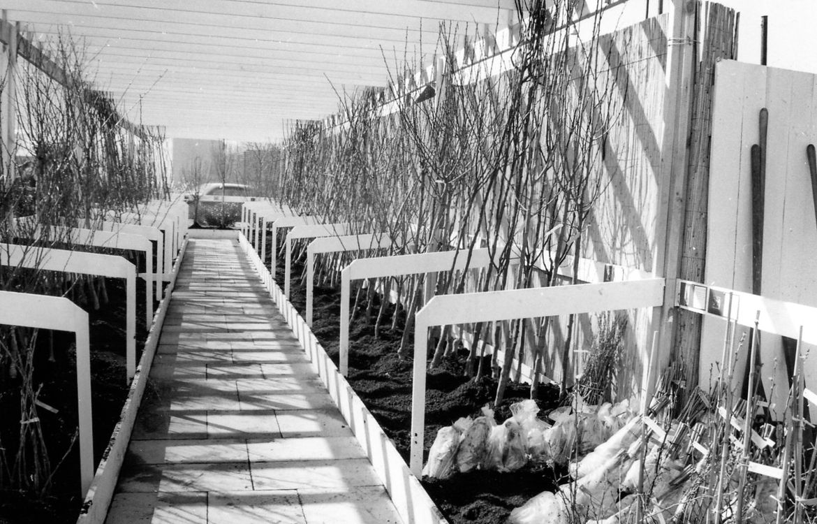 66 Jahre Jubiläum Gartencenter Hauenstein in Rafz. Feiern Sie mit uns.