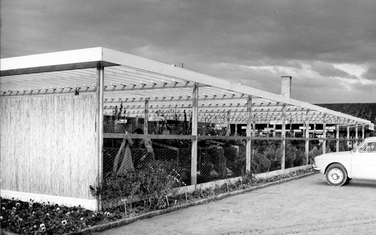 66 Jahre Jubiläum Gartencenter Hauenstein in Rafz. Feiern Sie mit uns.