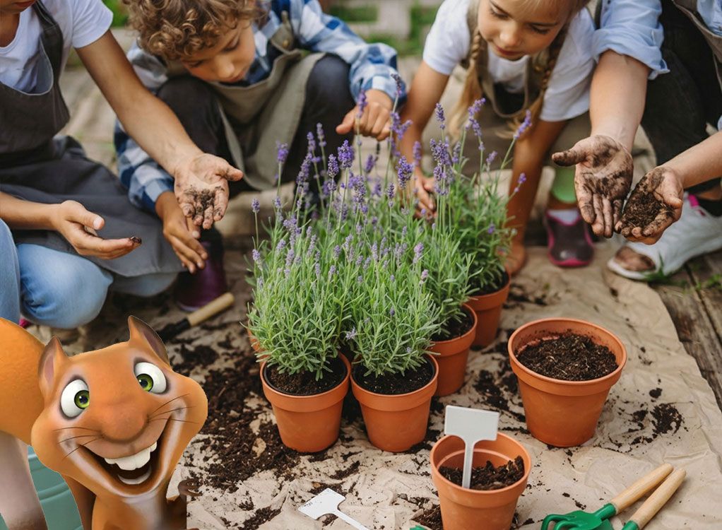 Eddie Kinderkurs: Lavendel Duftpflanzen