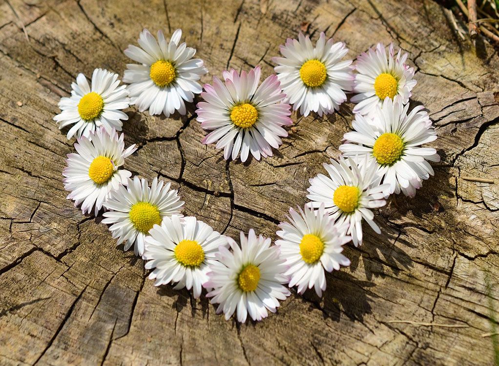 Blumiges Herz zum Muttertag