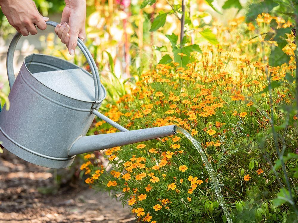 Workshop Basiskurs / Fit für die Gartensaison