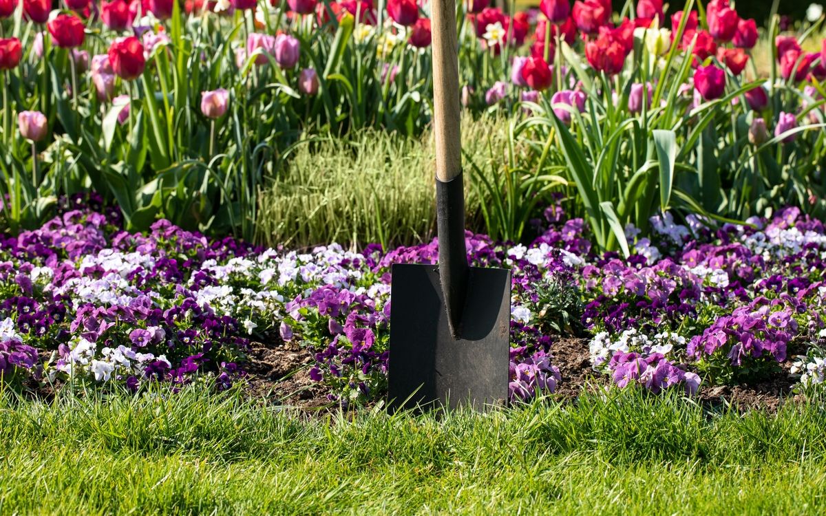 Workshop Basiskurs / Fit für die Gartensaison