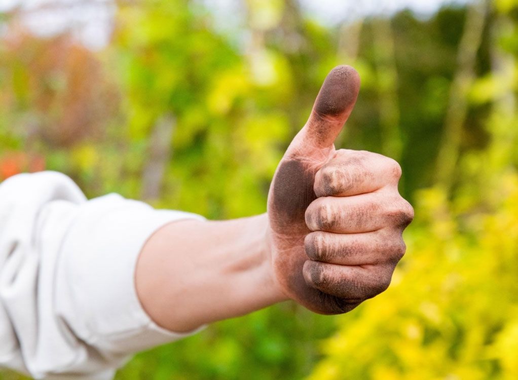 Pflanzenernährung. Düngen, ohne die Umwelt zu belasten.