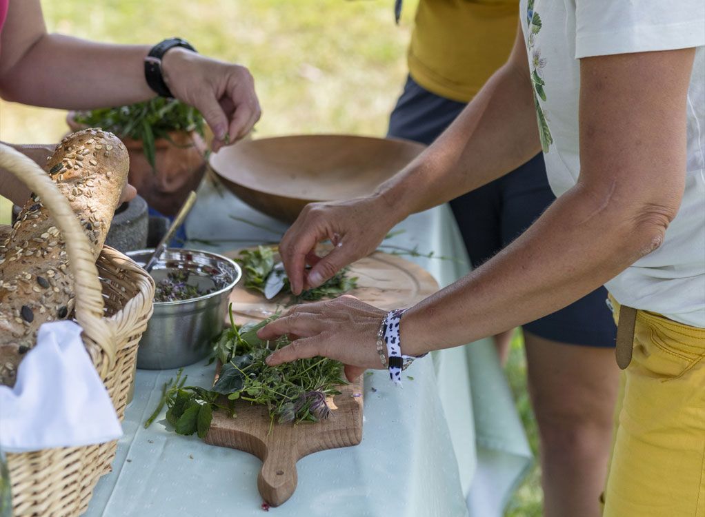 Herbal Lab: Naturwerkstatt & Kräuter-Wissen