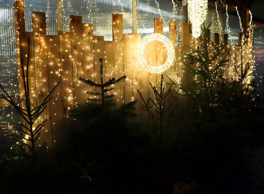 Es weihnachtet sehr