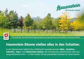 Gratis-Flyer Bäüme aussuchen