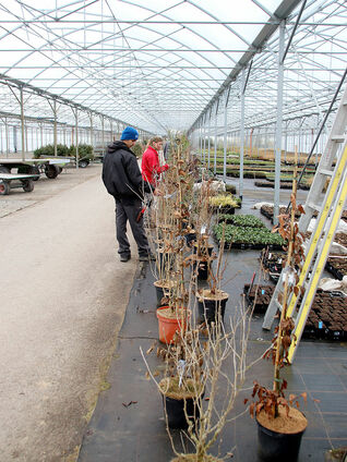 Eine Übersicht über den Pflanzen-Parcours.