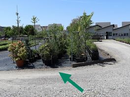 Der Start des Pflanzen-Parcours.