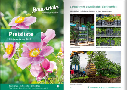 Hauenstein-Preisliste