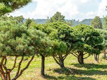 Umfangreiches Sortiment