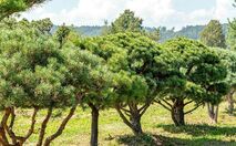 Umfangreiches Sortiment