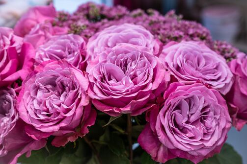 Das Gartencenter Rafz hat eine grosse Auswahl an Schnittblumen.