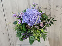 Lilac Bloom