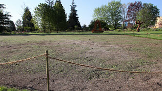 Verschiedene Stadien der Saat, die erfolgreich aufläuft.