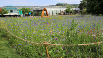 Die blühende Wiese wurde im Sommer von den Skulpturen der Erne-Ausstellung ergänzt.