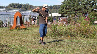 Um das Einpflanzen zu erleichtern, wurde die Wiese zuerst umgegraben und geschnitten.