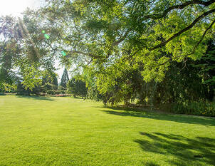 Hauenstein Schaugarten beim Gartencenter in Rafz